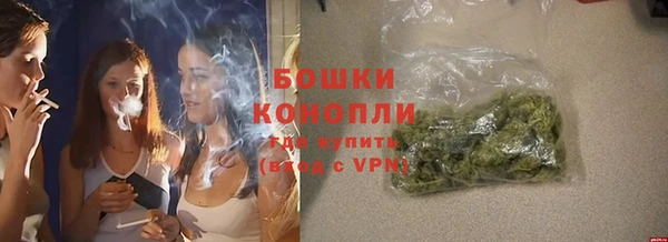 дмт Осинники
