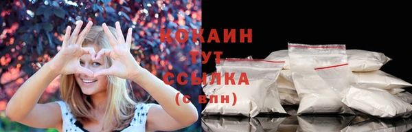 СК Белокуриха