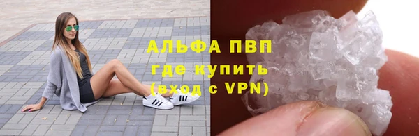 СК Белокуриха